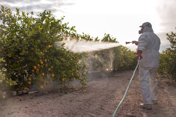 Best Pest Control for Homes  in Bonneauville, PA