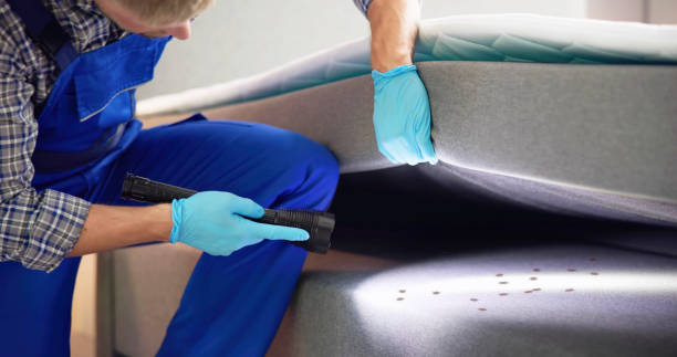 Best Pest Control Near Me in Bonneauville, PA