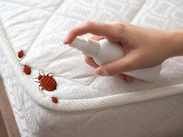 Best Commercial Pest Control Services  in Bonneauville, PA