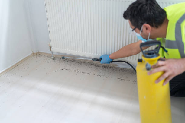 Best Best Pest Control Companies  in Bonneauville, PA